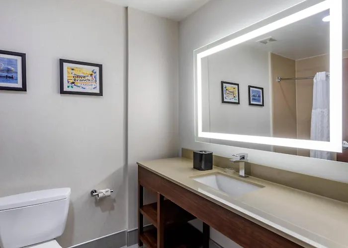 Comfort Suites Olive Branch - Memphis South