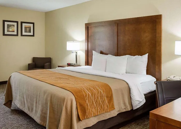 Quality Inn Olive Branch - Memphis South